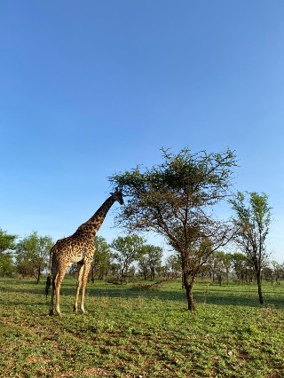 Image number 5 for Fly-in And Out To Tarangire And Ngorongoro Safari
