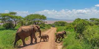 Image number 2 for Ngorongoro, Mto Wa Mbu & Kilimanjaro Machame Gate Adventure