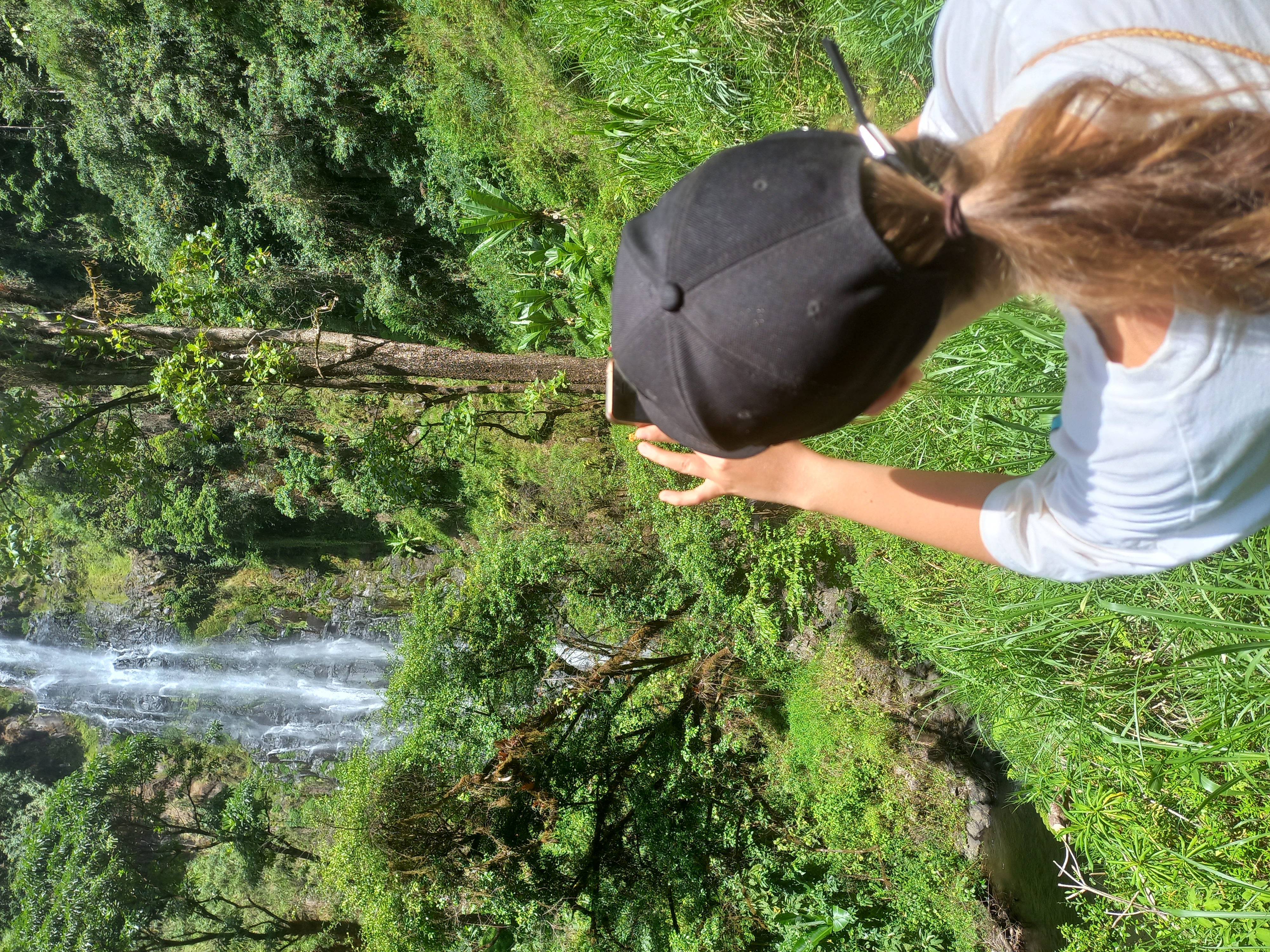 background image for - Materuni Waterfall Day Tour