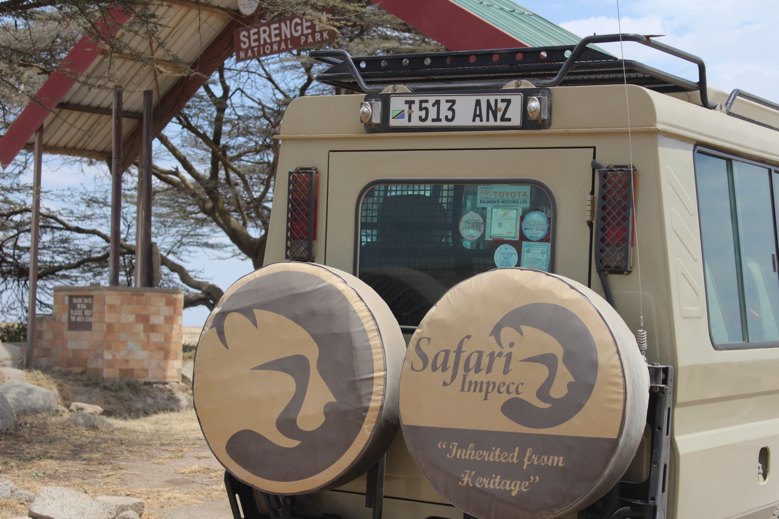 background image for - 4 Days Tanzania Safari