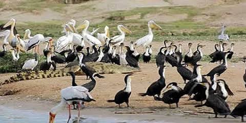 Image number 1 for  Best Day Trip Lake Manyara National Park