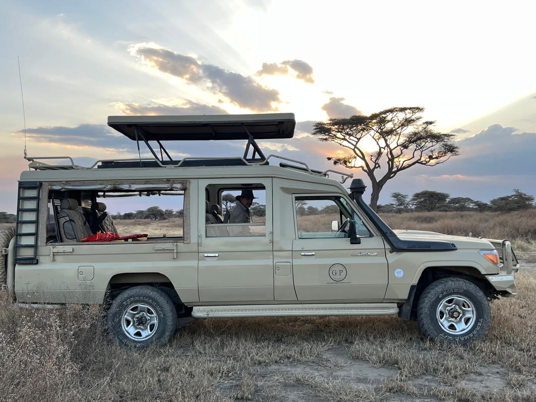 Image number 2 for Day Honeymoon Classic Safari Bliss