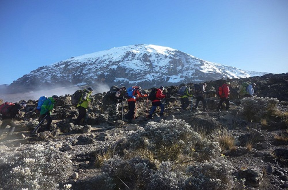background image for - Best 7 Days Kilimanjaro Climbing Tour