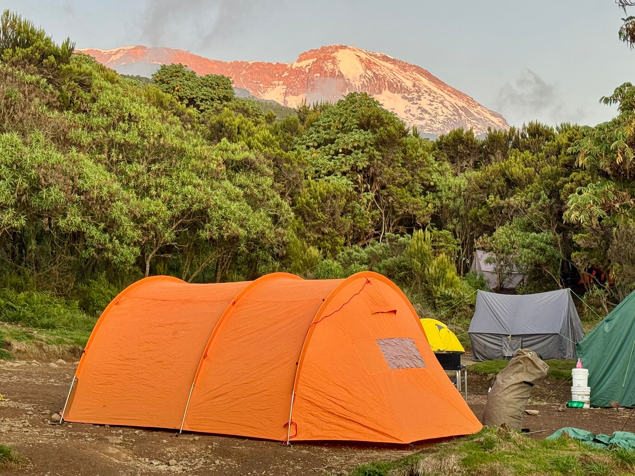Image number 13 for Kilimanjaro Climbing Tour 8 Days Lemosho Route