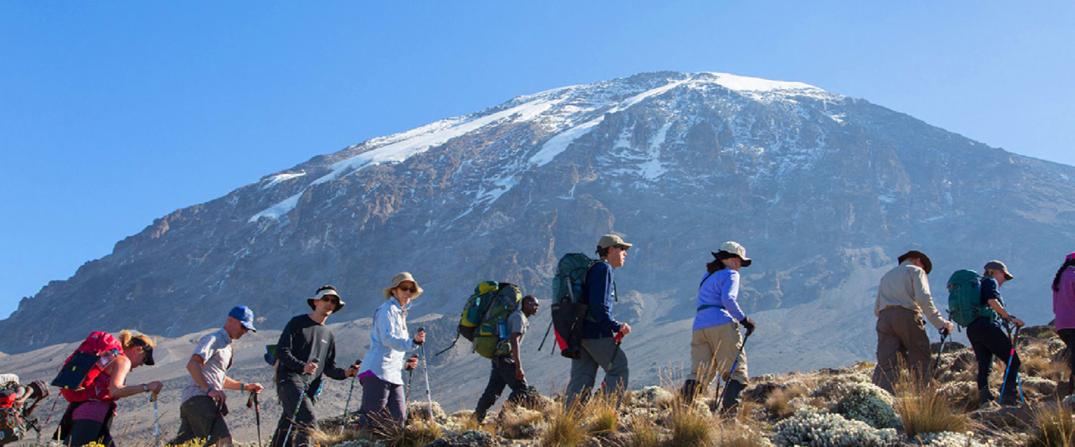 background image for - 7-Day Kilimanjaro Climbing Rongai Route
