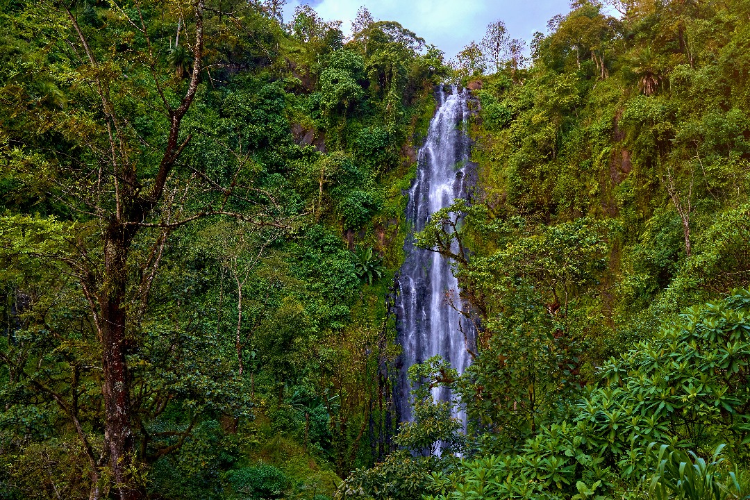 background image for - Day Trip To Materuni Waterfall