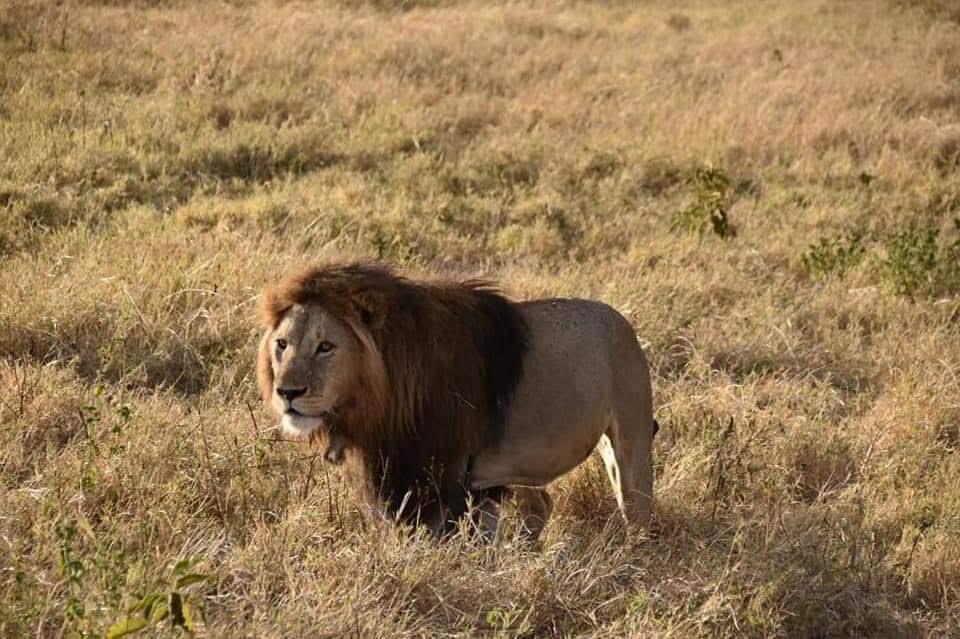 Image number 6 for Half Day : Nyerere National Park (ex Selous Gr)