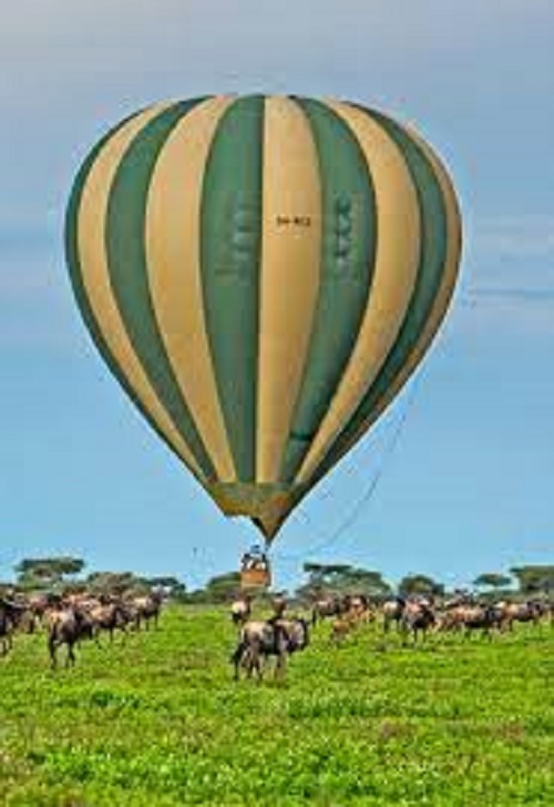 background image for - Best  Serengeti  Air Ballon Day Trip