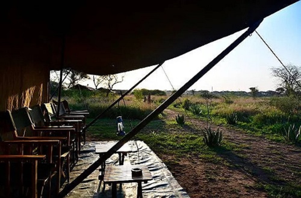 background image for - Best 8 Days Tanzania Camping Safari