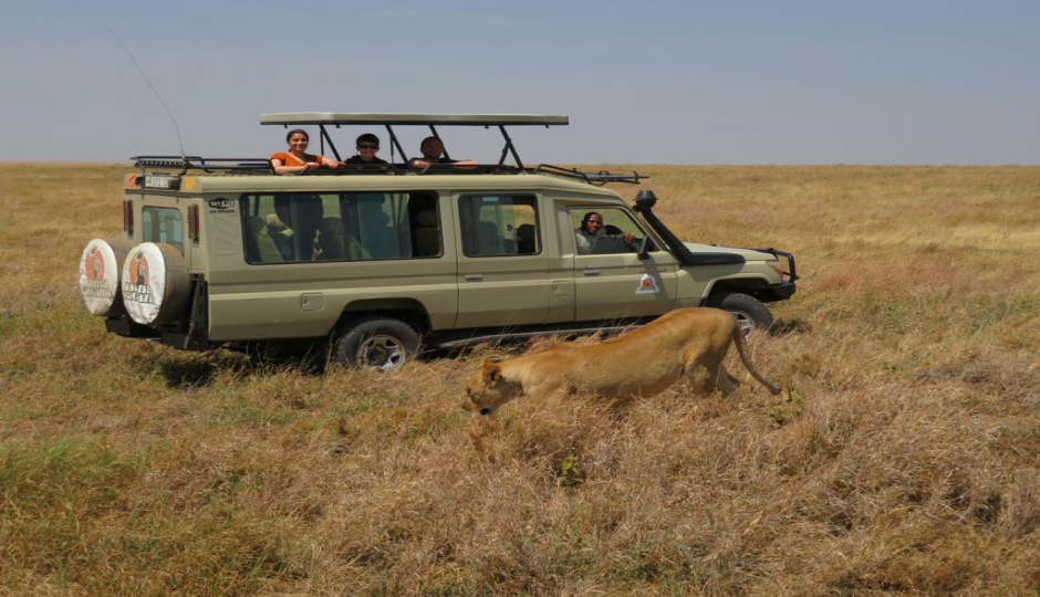 background image for - 7 Days Lodge and Tented Safari
