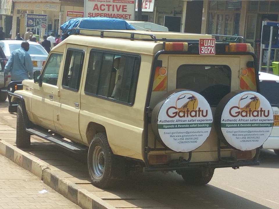 background image for - 4-Days Bwindi Gorilla Trek