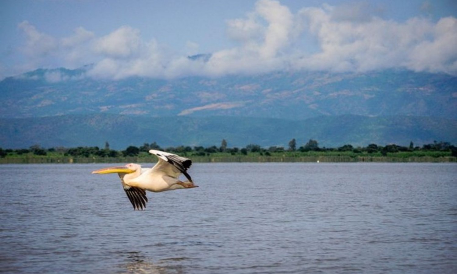 Image number 12 for 14-Day Explores Northern And Southern Part Ethiopia Tour