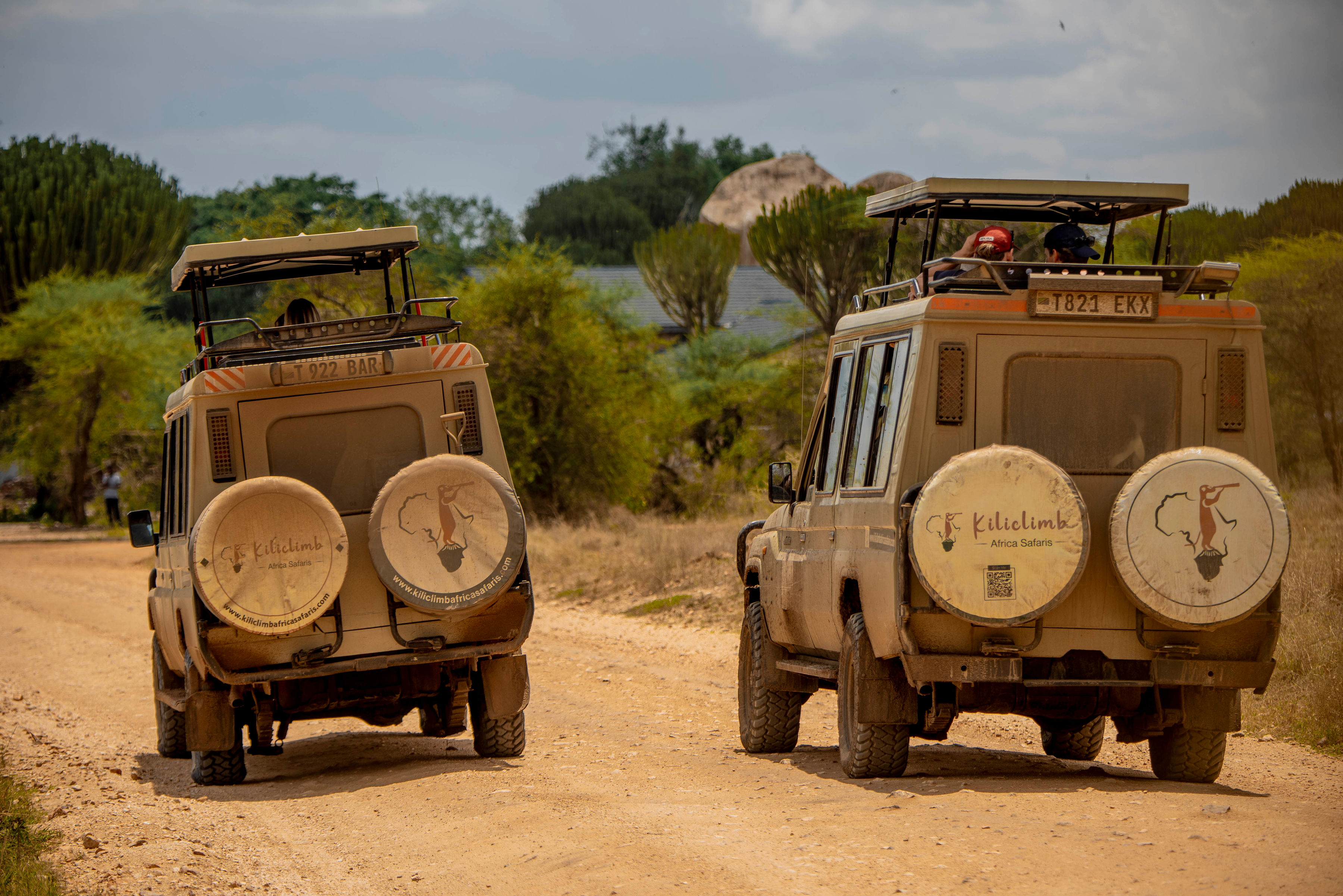 Image number 1 for Pure African Elegance Luxury Tanzania Safari & Zanzibar Escape