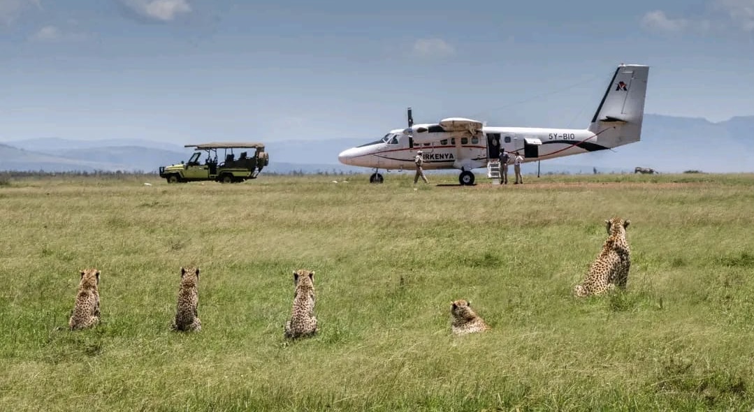 Image number 4 for Discover Amboseli & Tsavo’s Wildlife  Safari