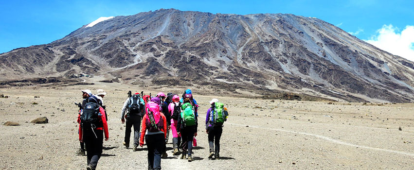 Image number 3 for Kilimanjaro Trek Rongai Route 7-Day Trek 9day Tour
