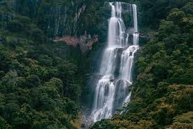 Image number 1 for 1-Day-trip-to-udzungwa-mounains-national-park-safari