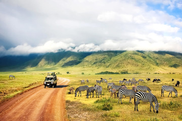 Image number 2 for Classicwildlife&culturalexperiencetrip_safari 