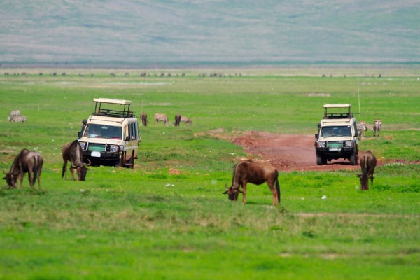 Image number 1 for Best Tanzania Budget Sharing Safari To Ngorongoro Crater 2025 - 2026