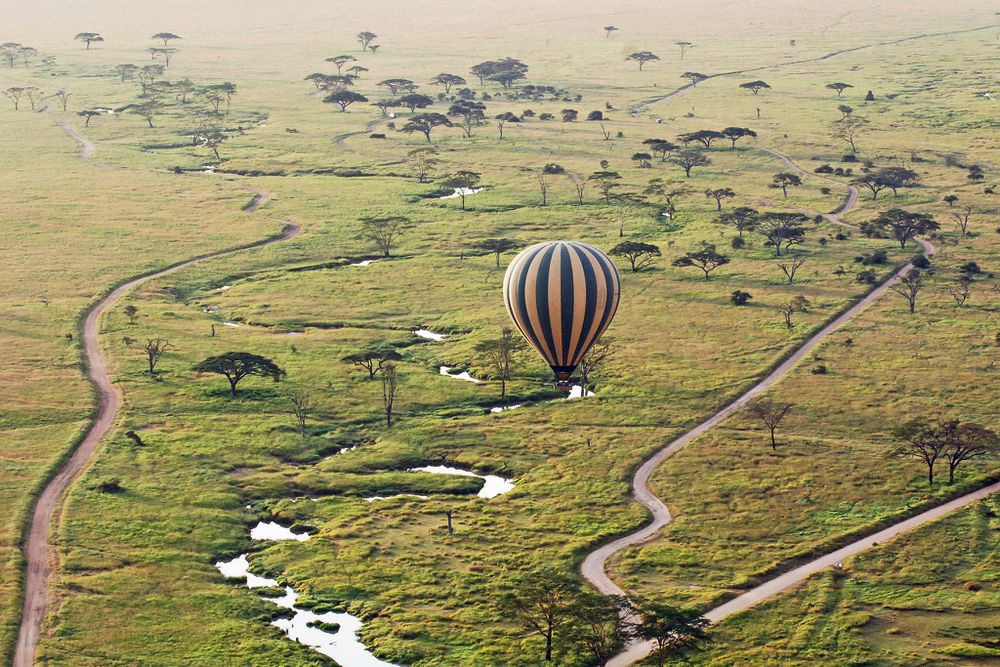 background image for - 2 Days Tarangire and Ngorongoro