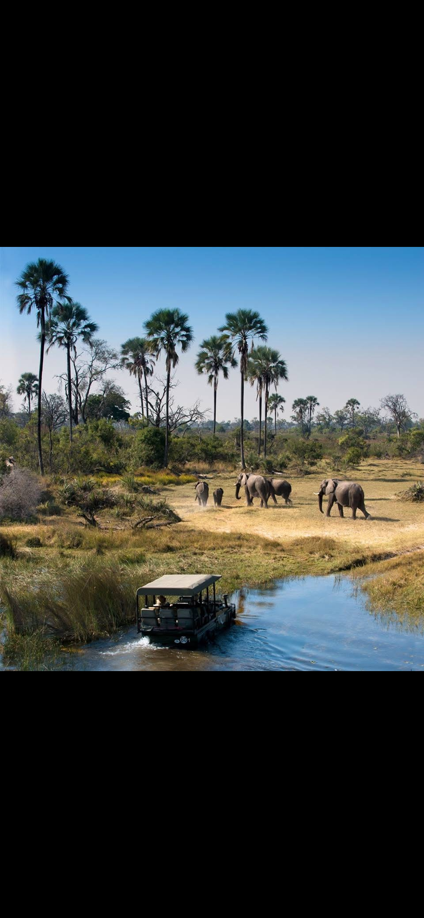 Image number 4 for Victoria Falls Game Drives