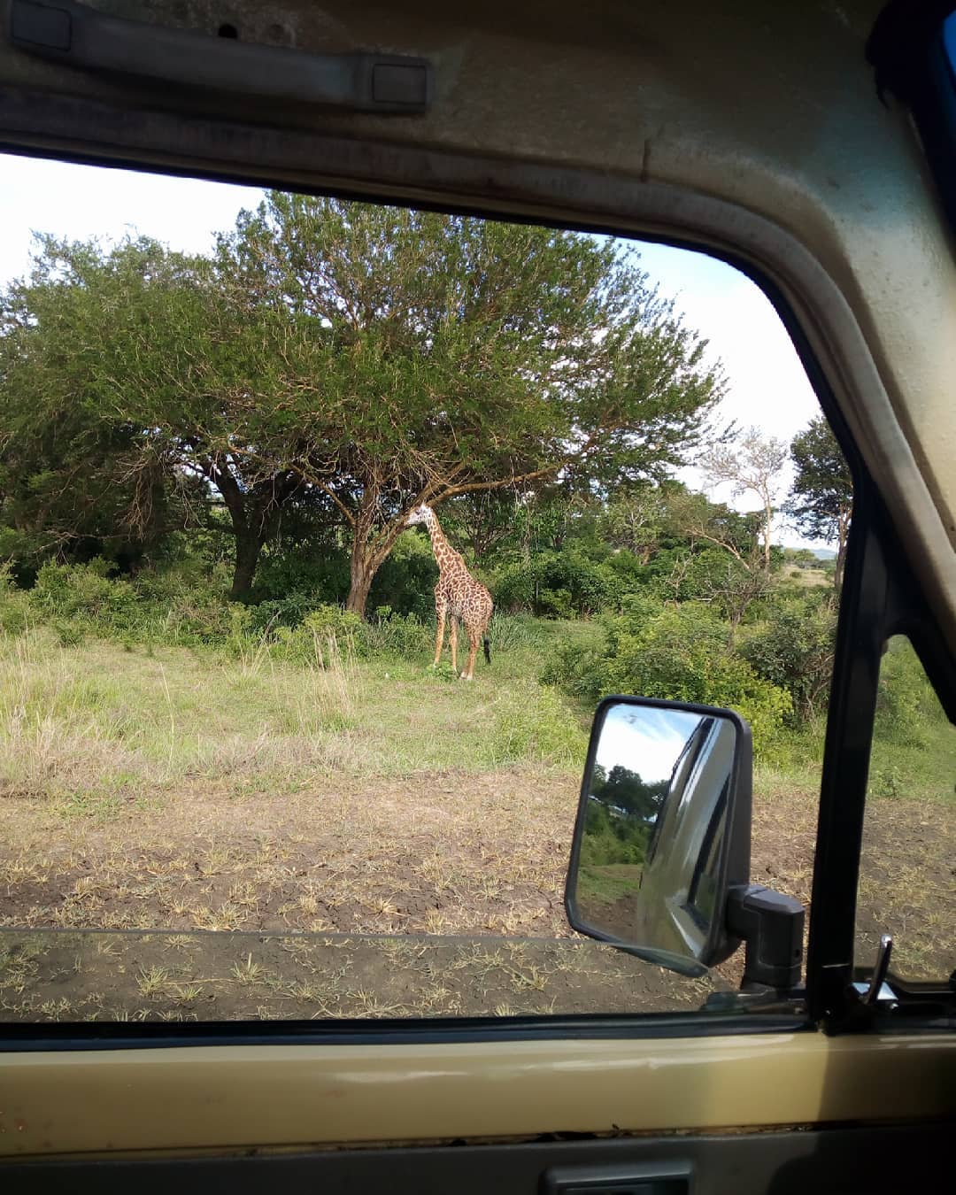 Image number 3 for 4 Day : Nyerere National Park And Mikumi National Park