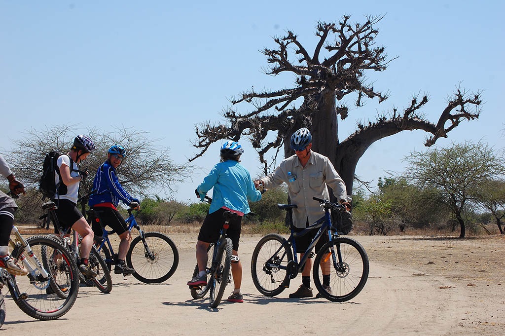 background image for - 7 Days Bike Tour Kilimanjaro Cycling