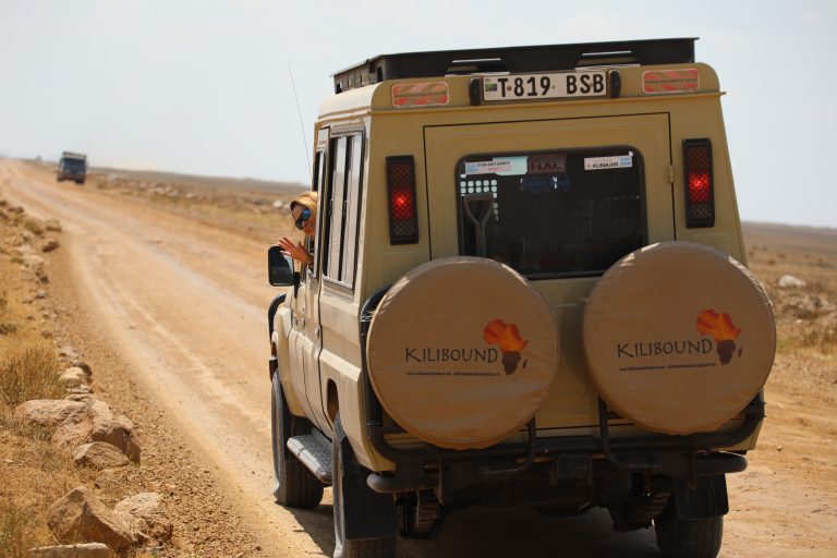 Image number 2 for 6-Day Tanzania Safari: Tarangire, Serengeti & Ngorongoro Crater