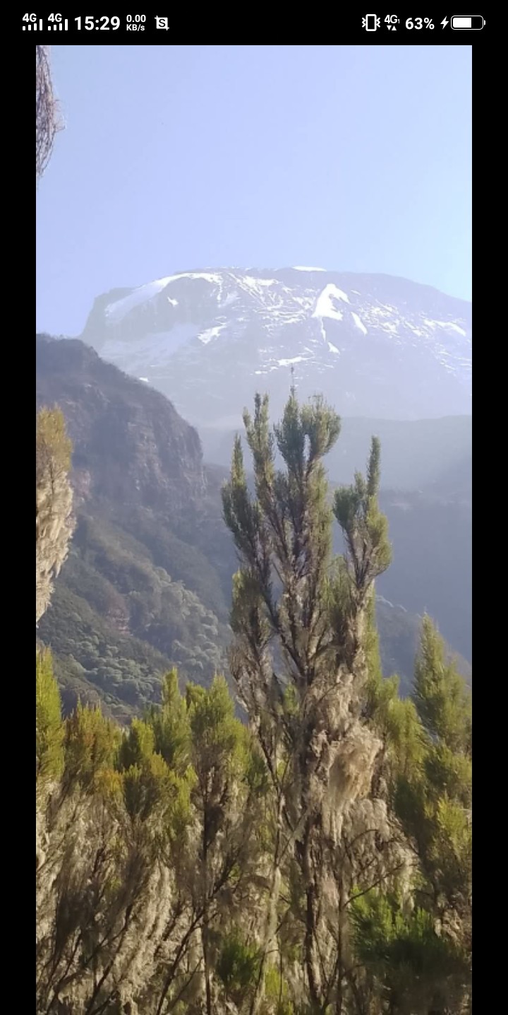 background image for - Day Trip Trekking Kilimanjaro