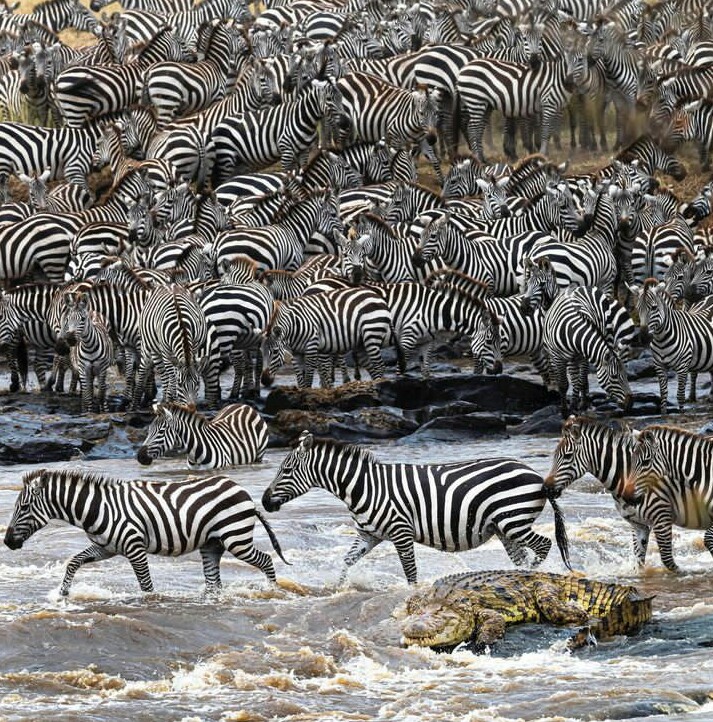 background image for - 4-Days Great Serengeti Migration