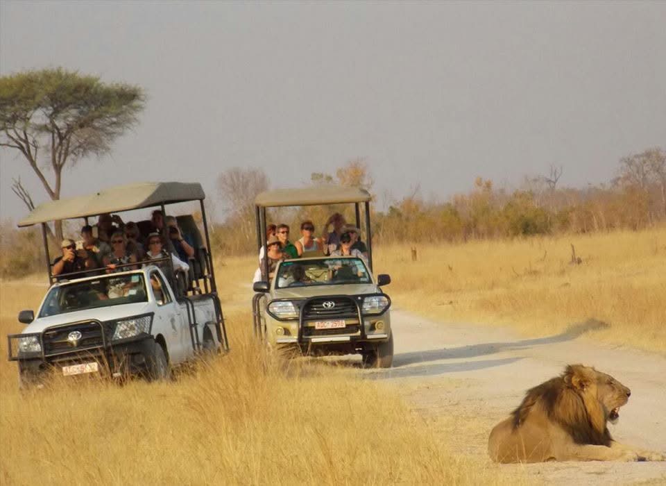 background image for - Vic Falls To Chobe Day Trips 
