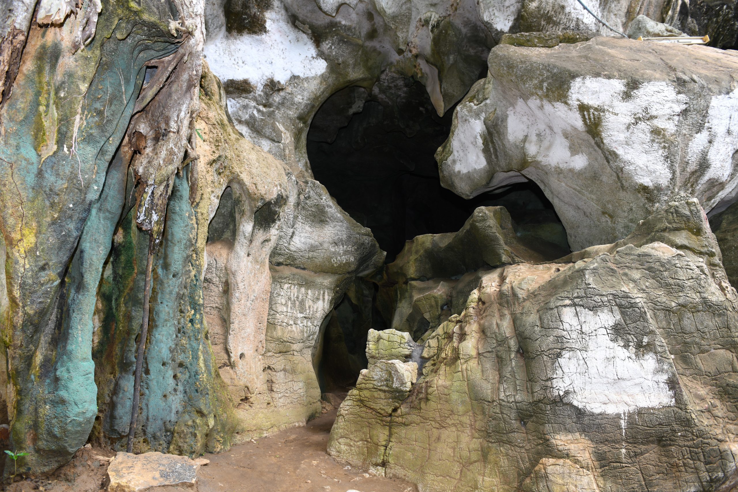 Image number 4 for Half-day Cycling Trip To Amboni Caves & Sulphur Hot Springs