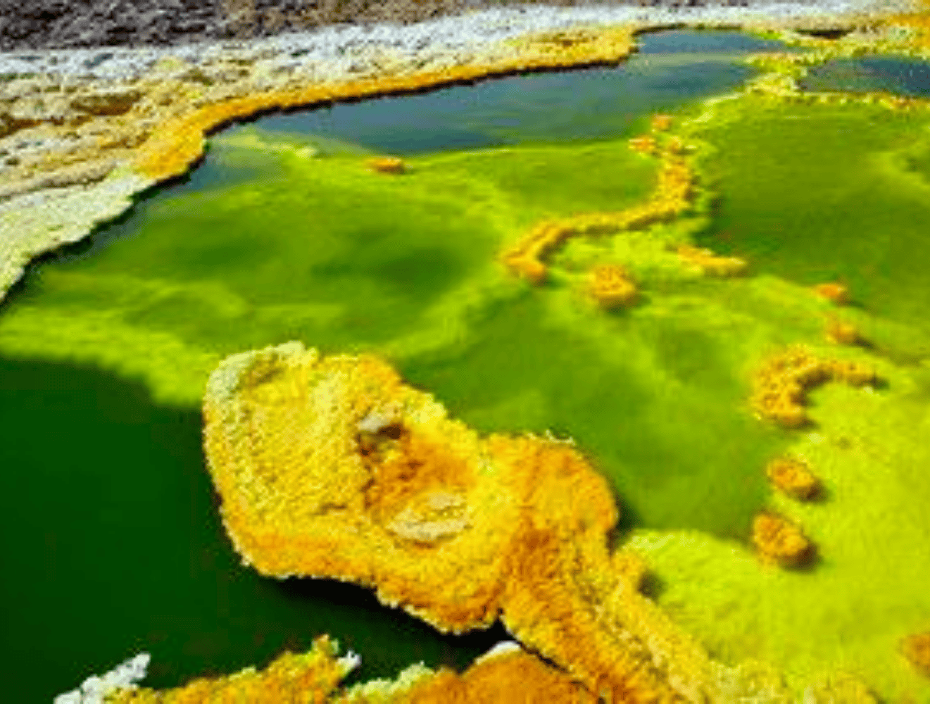 Image number 11 for 	9 Day Northern Ethiopia Tour 