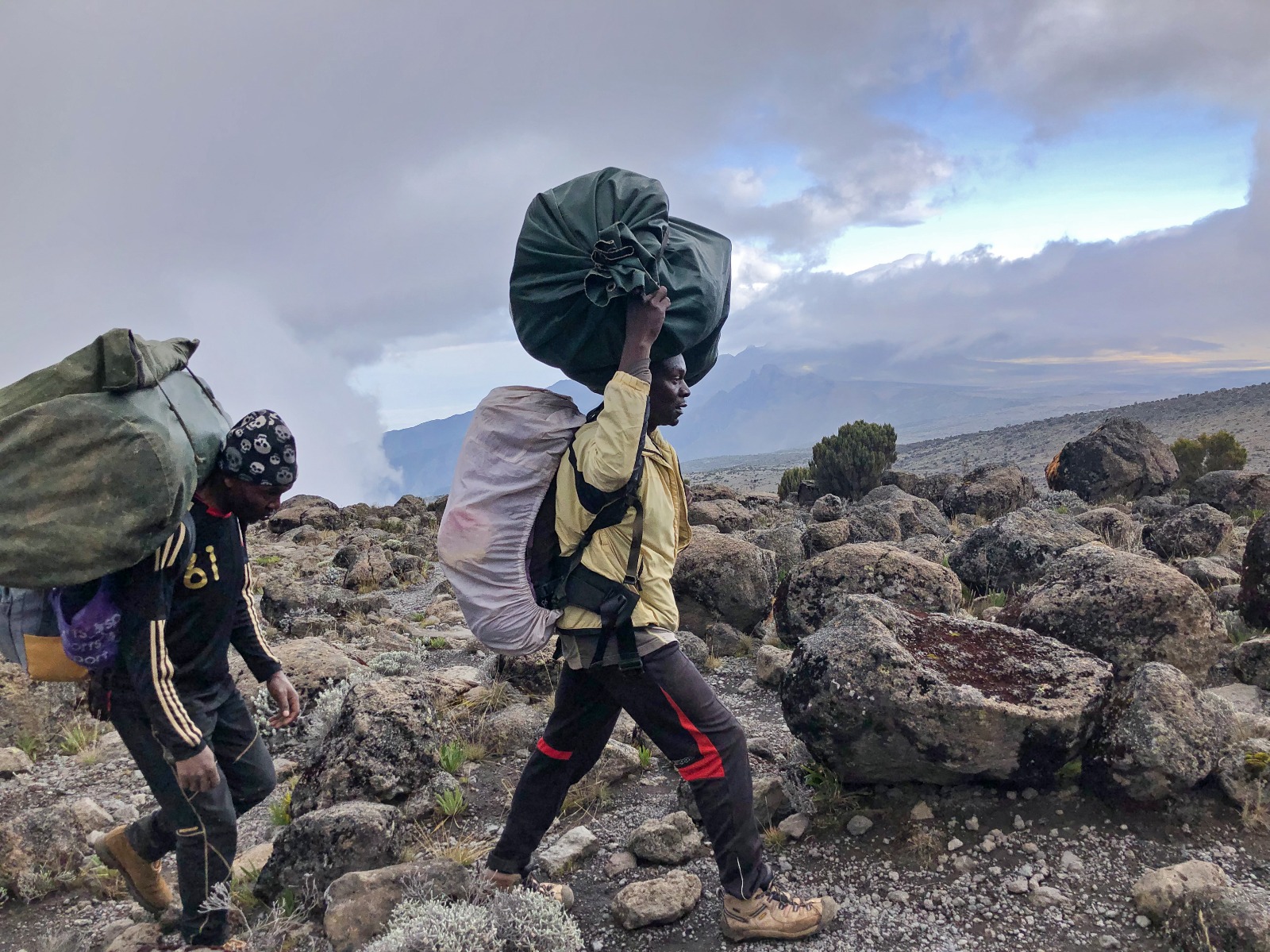 Image number 4 for Lemosho Route Via Kibo Crater