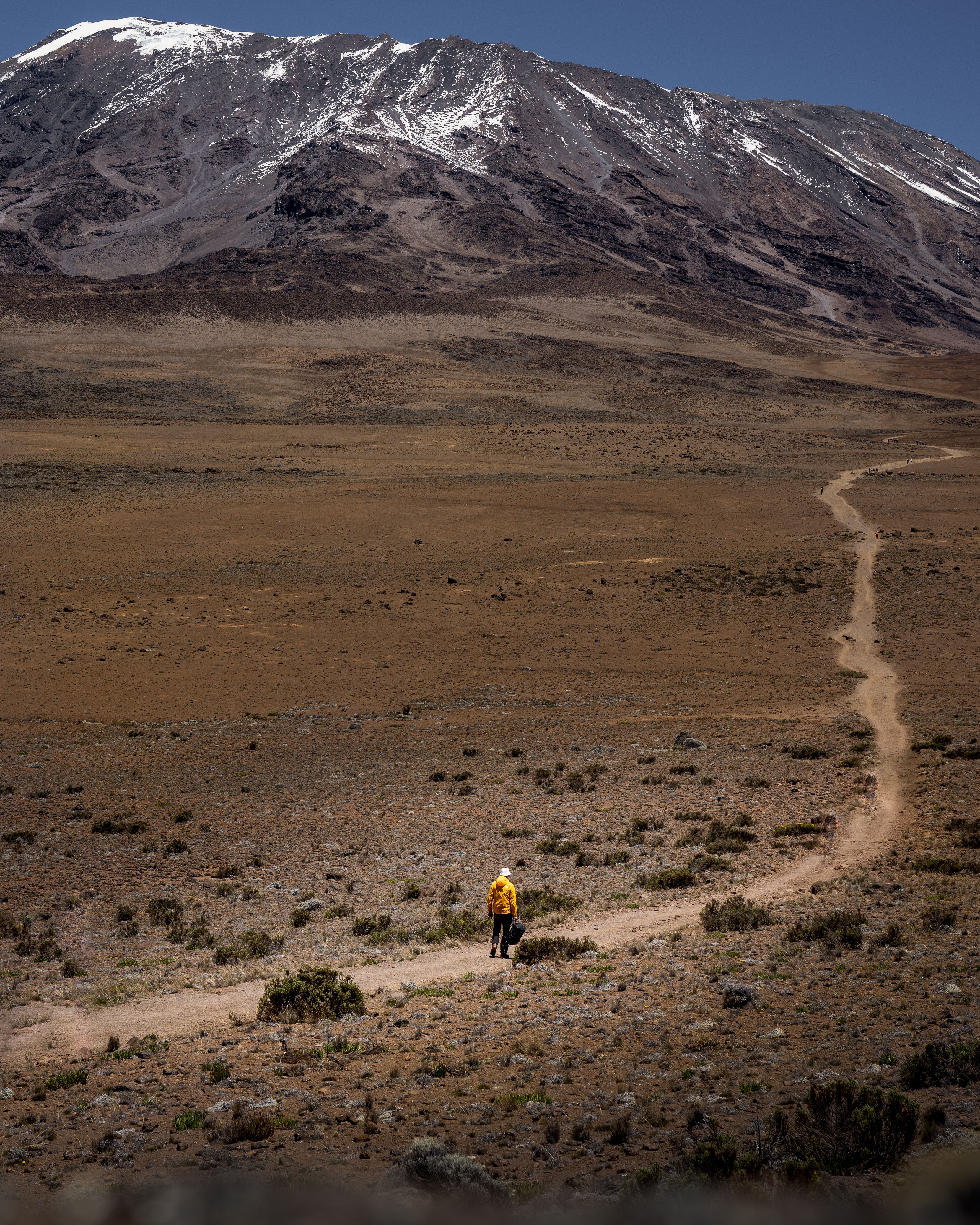 Image number 2 for Mount Kilimanjaro Trek Via Northern Circuit