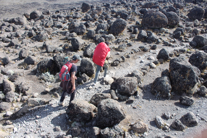 background image for - 7 Days Lemosho Route Kilimanjaro Hiking