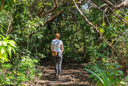 background image for - Zanzibar Safari Tour