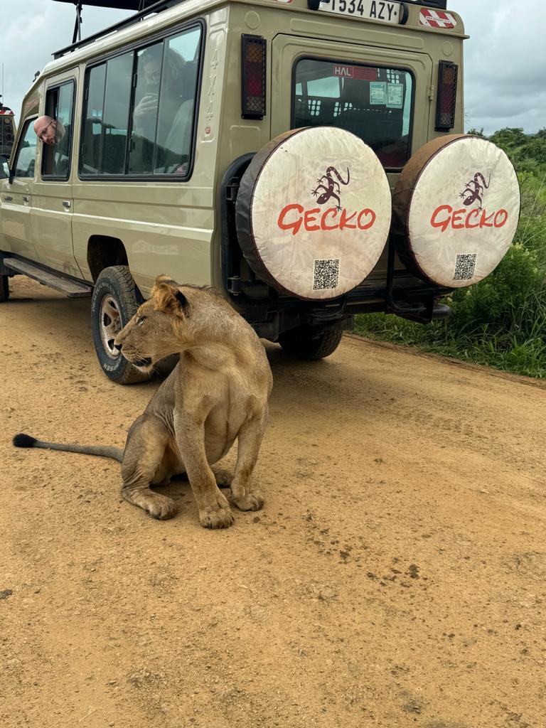 Image number 17 for Day Trip : Ruaha National Park From Iringa