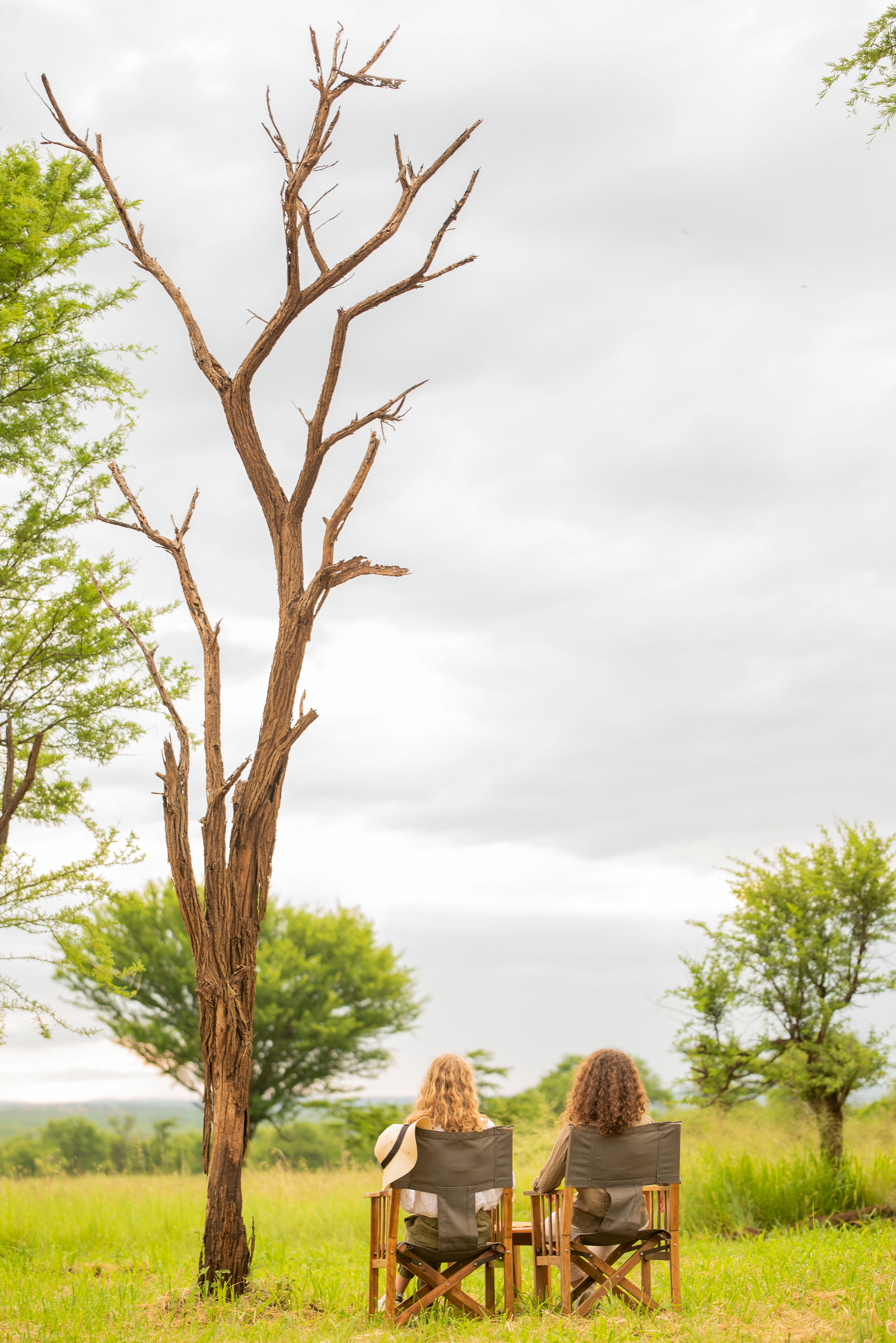 background image for - Private Tanzania Safari With Night Game Drive