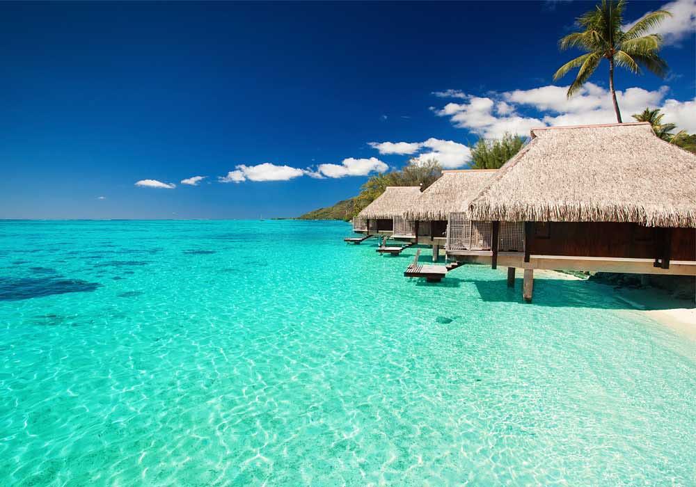 background image for - Day Trip Zanzibar Beach Holiday