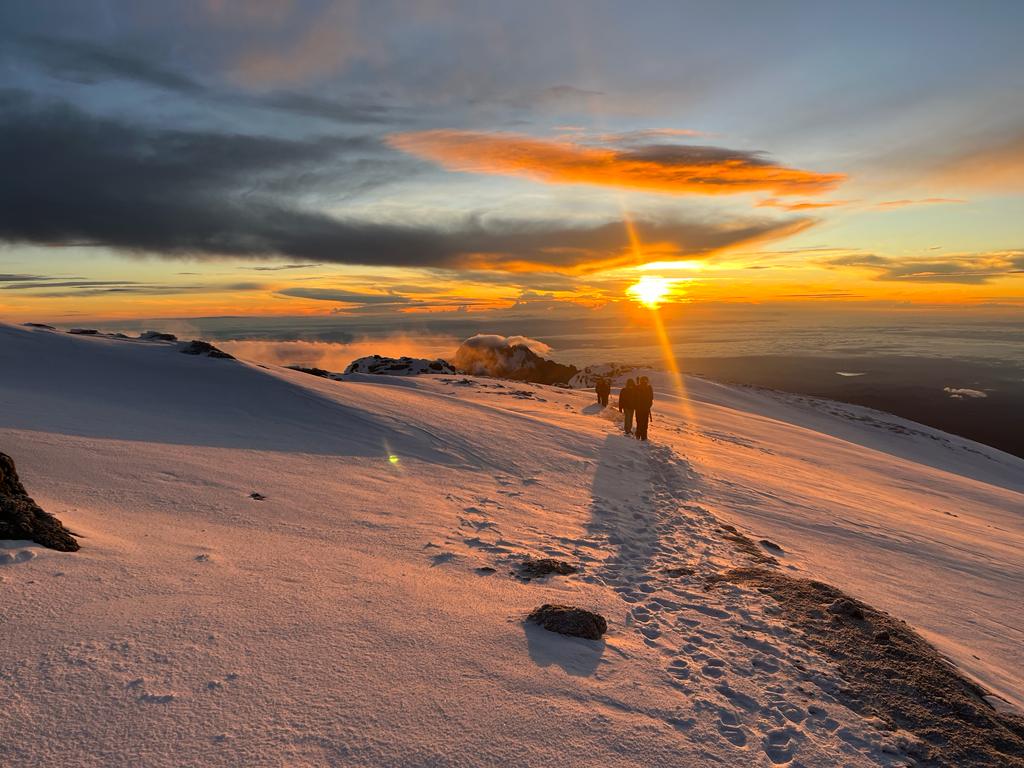 background image for - Unforgettable 6 Days Lemosho Route