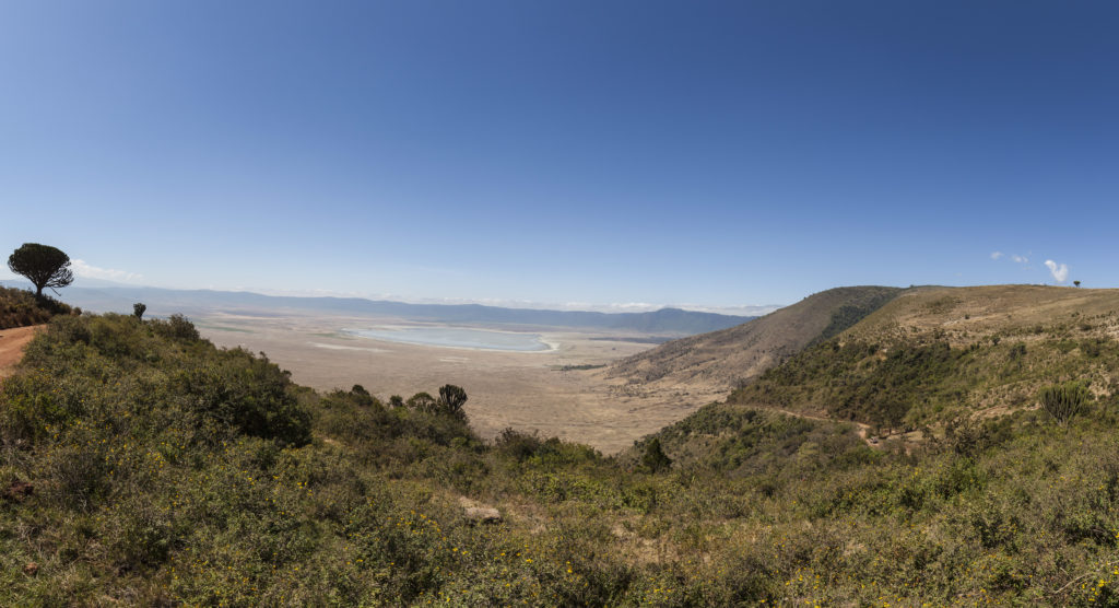 background image for - 5 Days Luxury Lodge Safari with Pick up Namanga