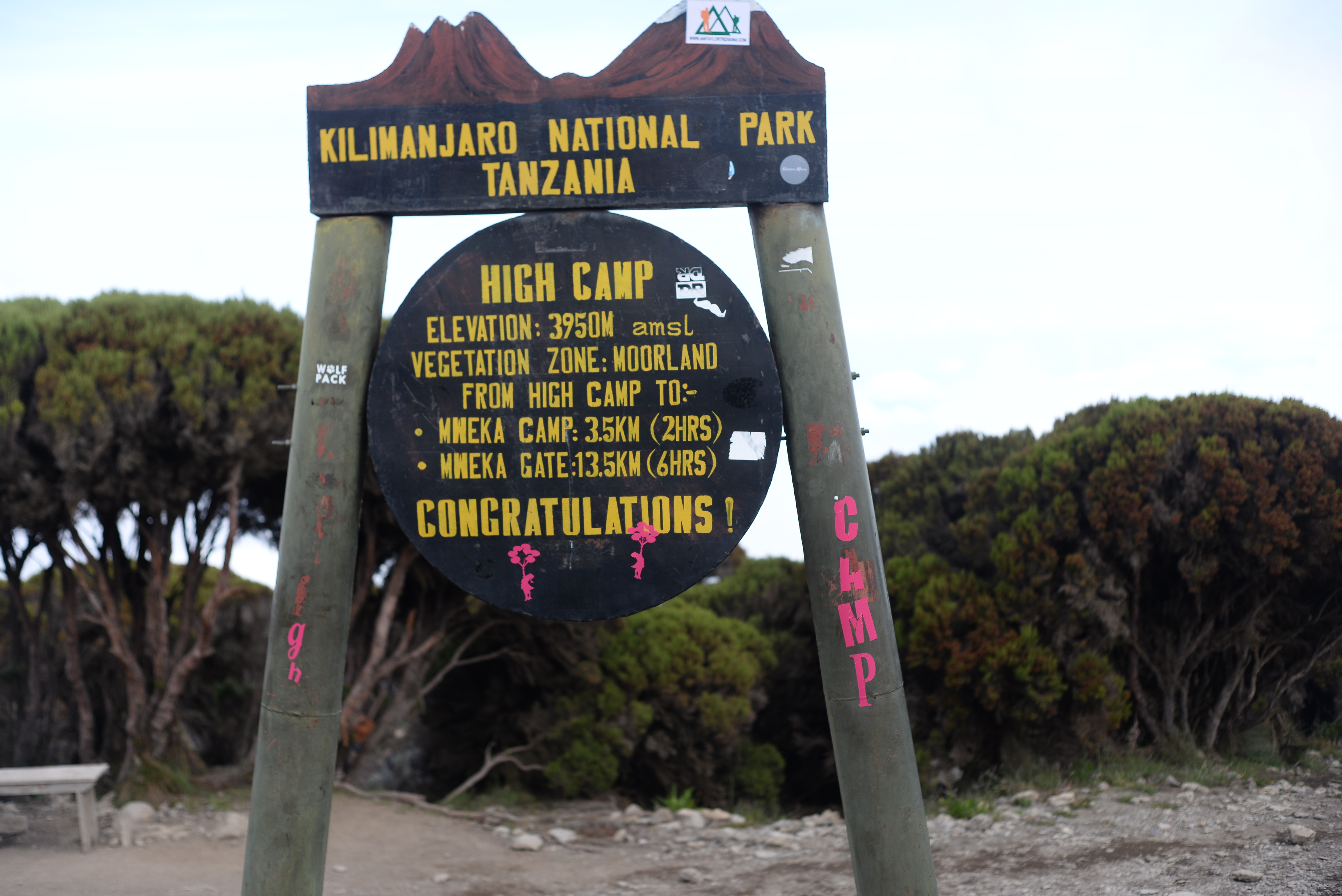 background image for - The Best 6 Days  Lemosho Route 