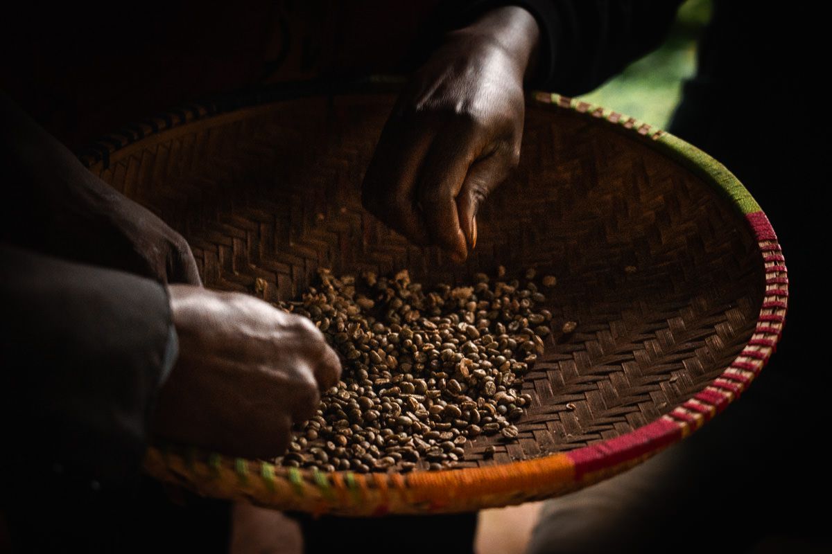 background image for - 1-Day Materuni Waterfalls & Coffee Excursions