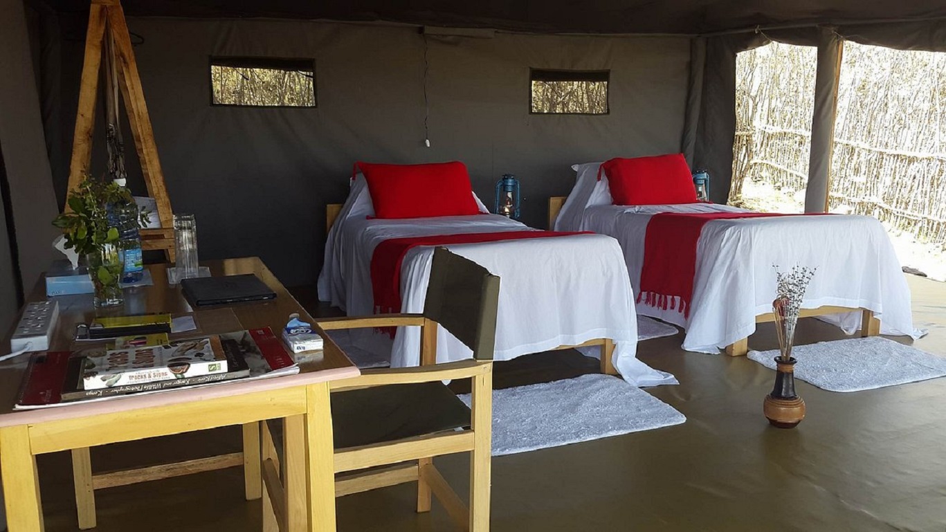 Image number 16 for 6-Day Kenya Safari For Couples Mid-range