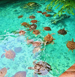 Image number 2 for 3 Day Zanzibar Beach Holiday Tour