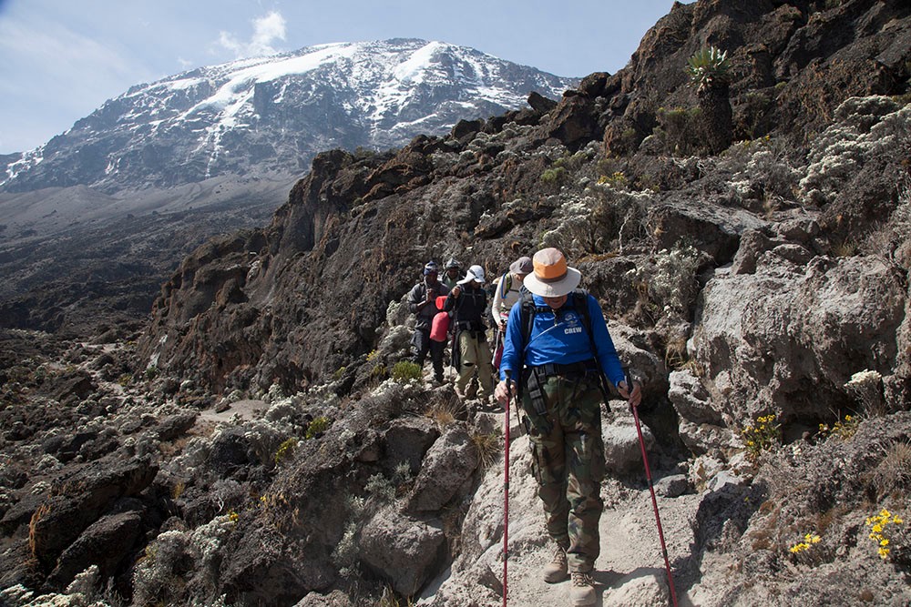 background image for - Unique 5 Days Kilimanjaro Climbing Via Marangu