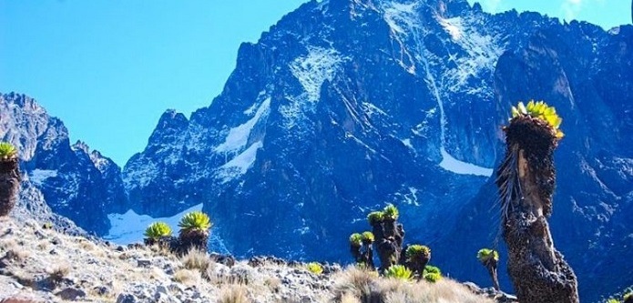 Image number 2 for 7 Days 6 Nights Trekking Mountain Kenya