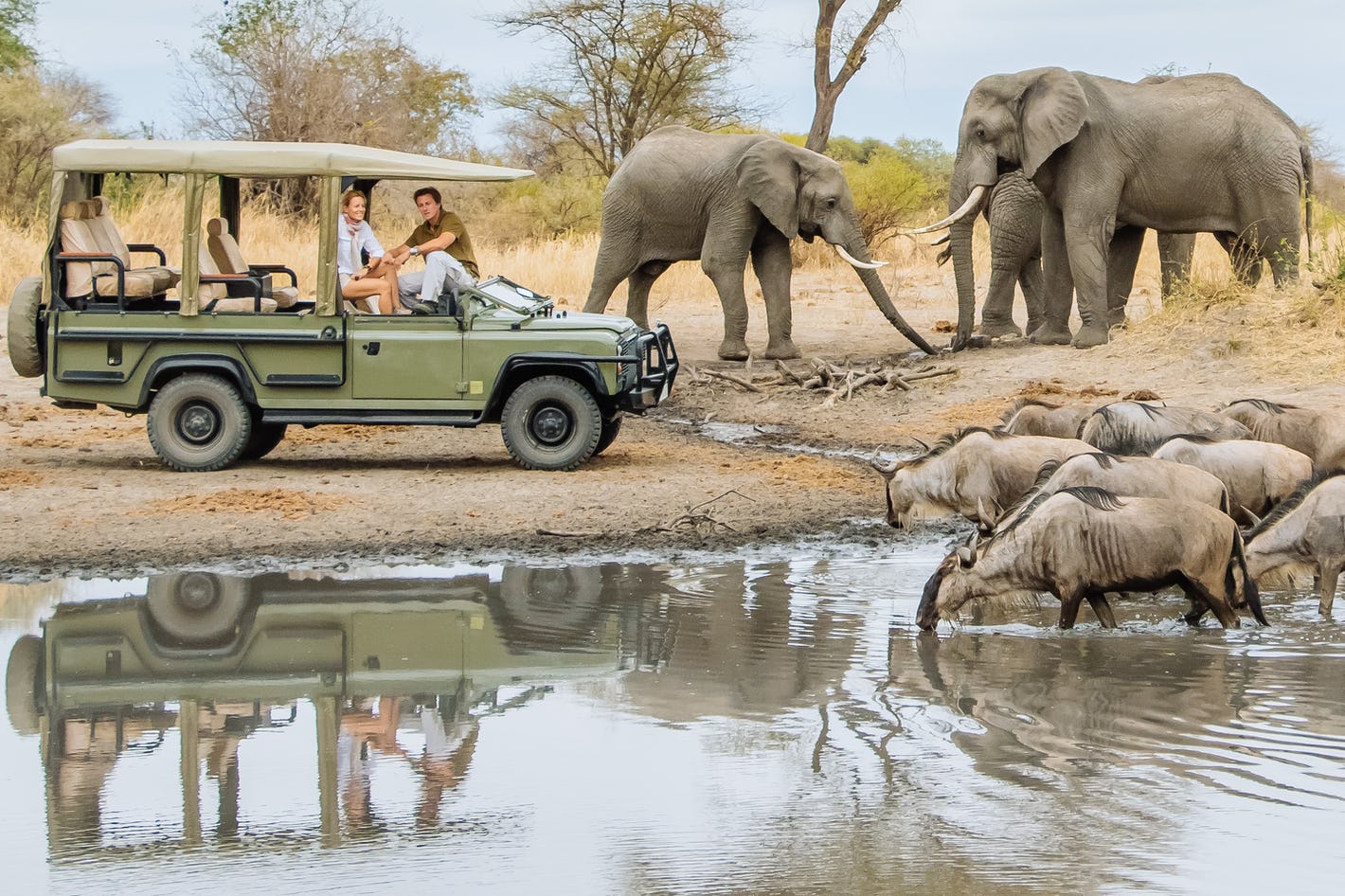 background image for - 1-Day Tanzania Safari To Lake Manyara 