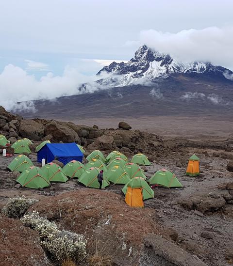 Image number 8 for Kilimanjaro Via Rongai Route 6-Days Trek 8day Tour