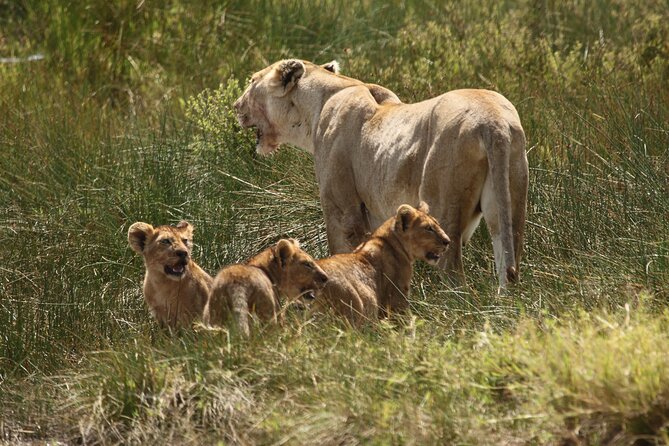 Image number 1 for 2 Days Budget Camping Safari Tarangire And Ngorongoro 2026 2027